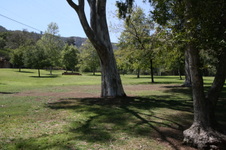 Enlarge photo 18