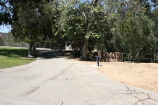 Enlarge photo 22