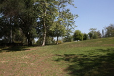Enlarge photo 31