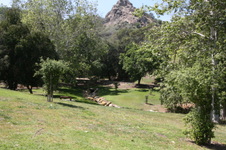 Enlarge photo 36