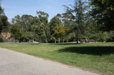 Enlarge photo 37