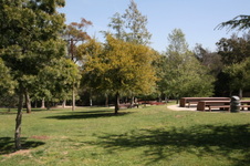 Enlarge photo 38