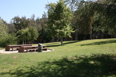 Enlarge photo 39