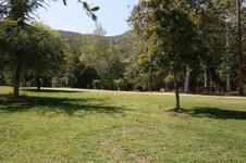 Enlarge photo 42