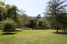 Enlarge photo 43