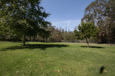 Enlarge photo 46