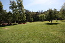 Enlarge photo 48