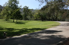 Enlarge photo 50