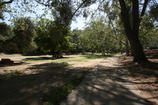 Enlarge photo 58