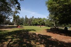 Enlarge photo 59