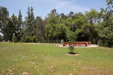 Enlarge photo 60