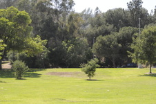 Griffith Park Light Study