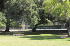 Enlarge photo 11