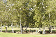 Enlarge photo 21