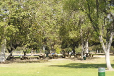 Enlarge photo 23