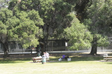 Enlarge photo 25
