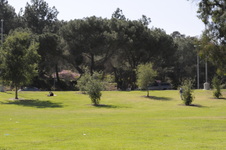 Enlarge photo 30