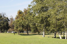 Enlarge photo 34