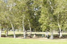 Enlarge photo 35