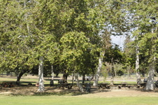 Enlarge photo 36