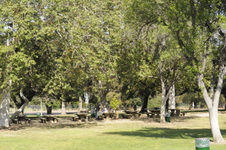 Enlarge photo 37