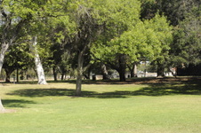 Enlarge photo 38