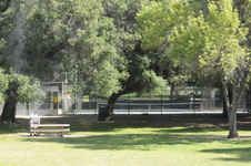 Enlarge photo 40