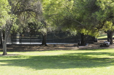 Enlarge photo 41