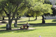 Enlarge photo 42