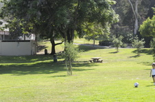 Enlarge photo 43