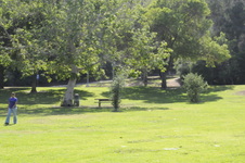 Enlarge photo 44