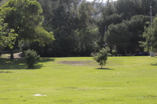 Enlarge photo 45