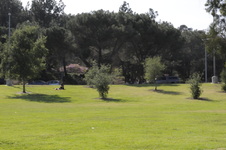 Enlarge photo 46