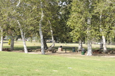 Enlarge photo 51