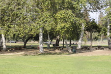 Enlarge photo 52