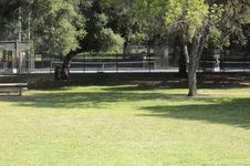 Enlarge photo 55