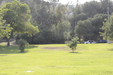 Enlarge photo 56