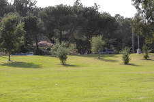 Enlarge photo 57