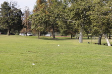 Enlarge photo 61