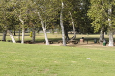 Enlarge photo 62