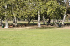 Enlarge photo 63