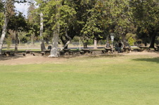 Enlarge photo 64
