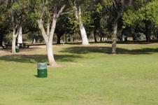 Enlarge photo 65