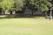Enlarge photo 66