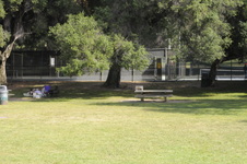 Enlarge photo 67