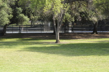 Enlarge photo 68