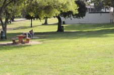 Enlarge photo 70