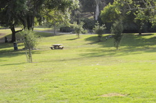 Enlarge photo 71