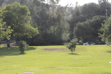 Enlarge photo 72
