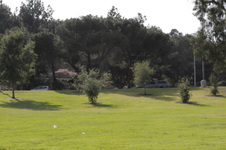Enlarge photo 73